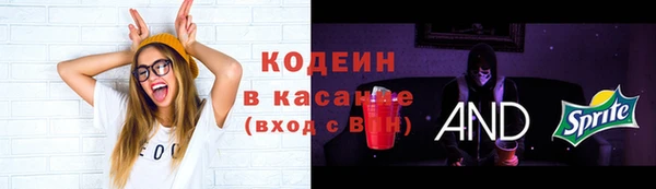скорость Алексин