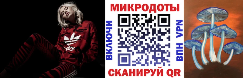 Псилоцибиновые грибы Psilocybe  Коркино 